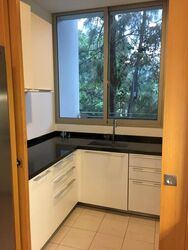 Beaufort On Nassim (D10), Condominium #603105831